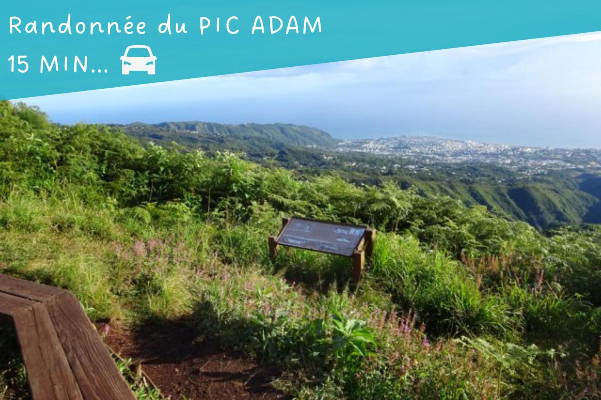 Entree Autonome-Ste Clotilde-Parking Daire Saint-Denis Dış mekan fotoğraf